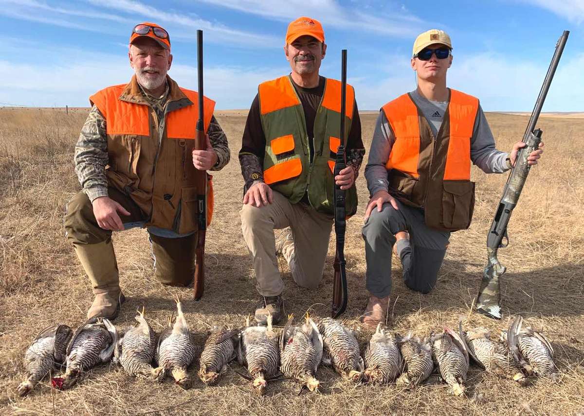 Chicken Hunts Photo